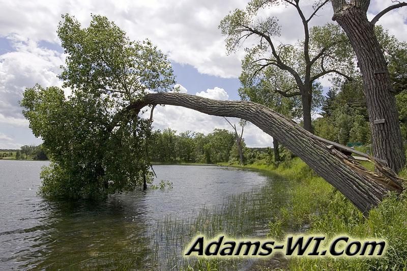 800X533 D3Z6892 800X533 D3Z6892