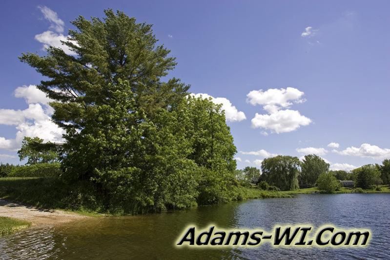 800X533 D3Z6959 800X533 D3Z6959