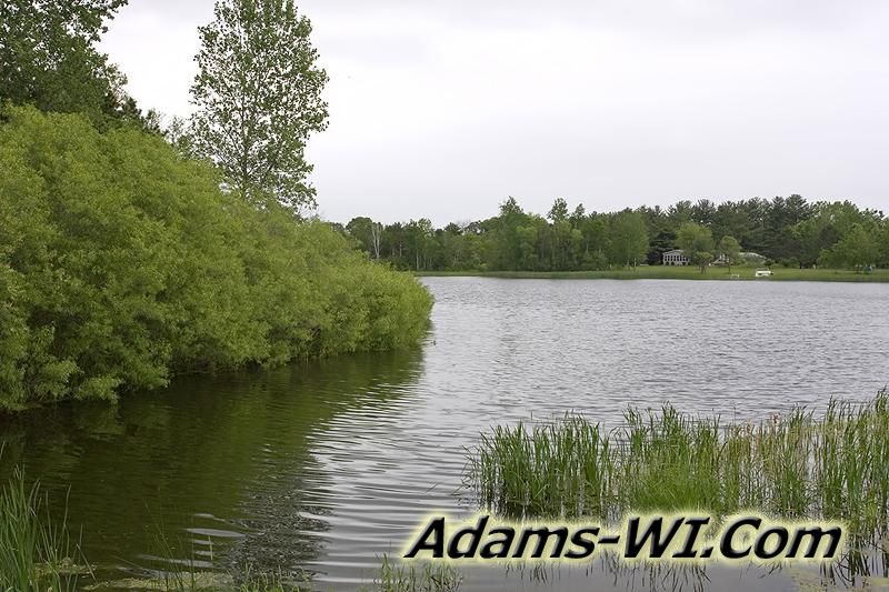 Call Landman Realty llc for Real Estate in Dells Prairie, Adams County, WI. Call Landman Realty llc for Real Estate in Dells Prairie, Adams County, WI.