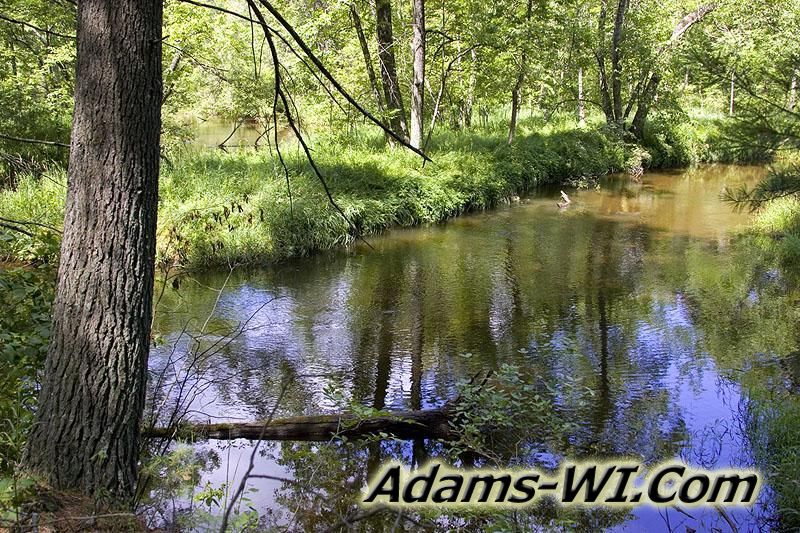 Photo of Big Roche-a-Cri Creek running through the woods of Big Flats Township, WI. Photo of Big Roche-a-Cri Creek running through the woods of Big Flats Township, WI.