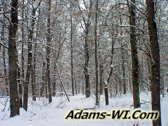 Winter photo in Big Flats, Wisconsin Winter photo in Big Flats, Wisconsin