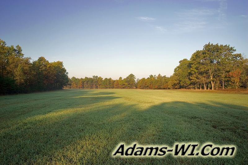 D 800X533 37 Acres Hwy 21 Preston Mid Oct 2005 Back Meadow GOOD MD3Z2821 D 800X533 37 Acres Hwy 21 Preston Mid Oct 2005 Back Meadow GOOD MD3Z2821