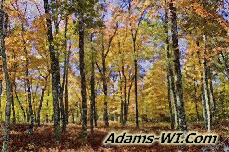 D 800X533 Colored Pencil MD3Z6648 D 800X533 Colored Pencil MD3Z6648
