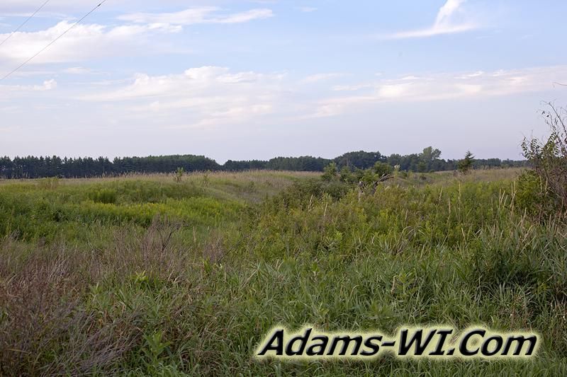 D 800X533 IMG 8818 D 800X533 IMG 8818