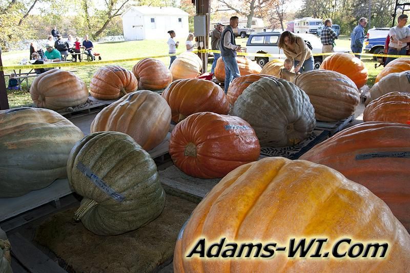 Nekoosa Giant Pumpkin Festival Nekoosa Giant Pumpkin Festival