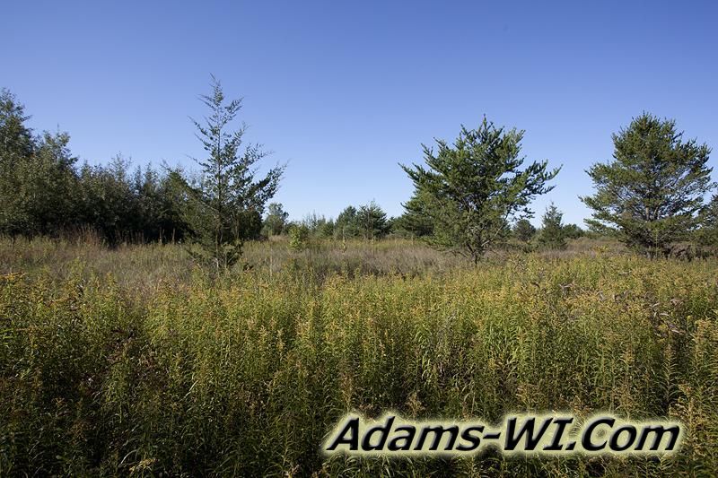 D 800X533 IMG 0012 D 800X533 IMG 0012