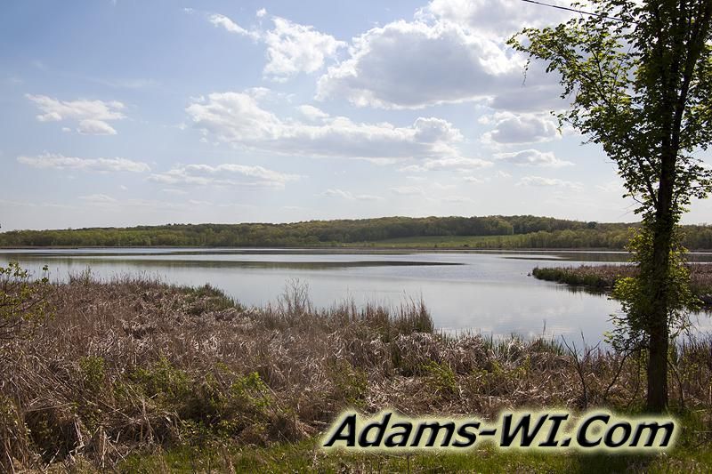 D 800X533 IMG 1305 D 800X533 IMG 1305