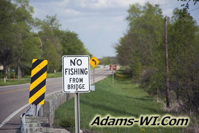 D 800X533 IMG 1308 D 800X533 IMG 1308