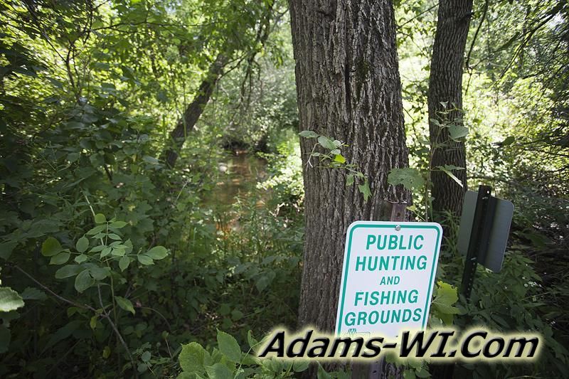 D 800X533 IMG 9338 D 800X533 IMG 9338