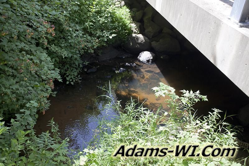 D 800X533 IMG 9339 D 800X533 IMG 9339