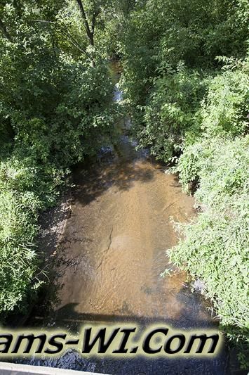 D 800X533 IMG 9340 D 800X533 IMG 9340