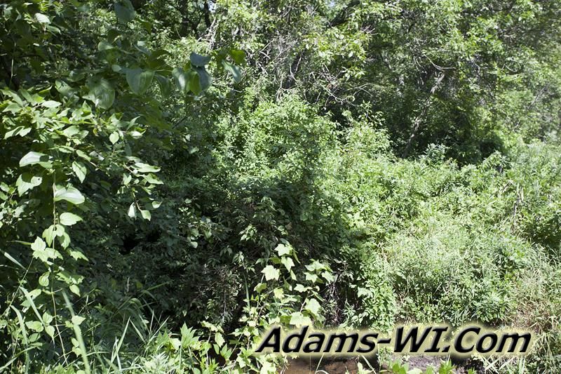 D 800X533 IMG 9343 D 800X533 IMG 9343