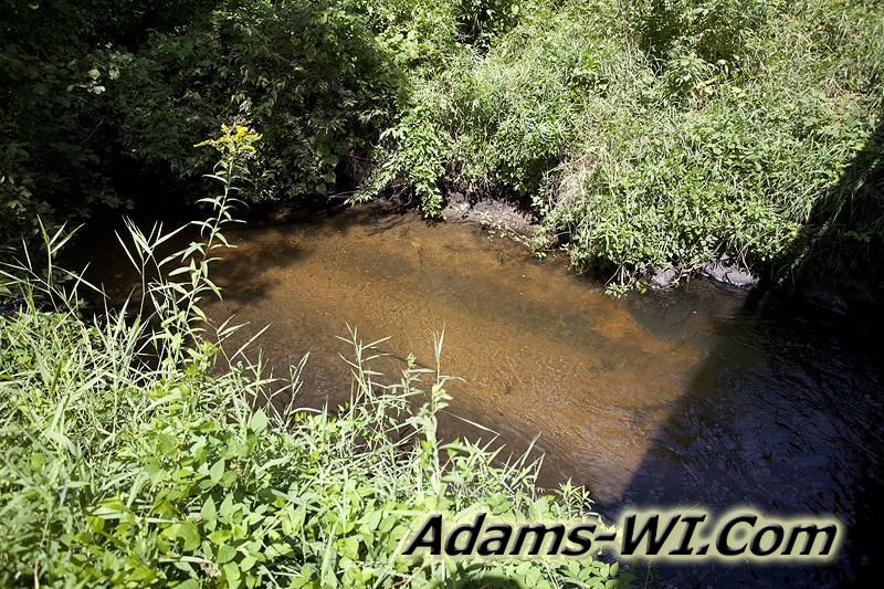 D 800X533 IMG 9346 D 800X533 IMG 9346