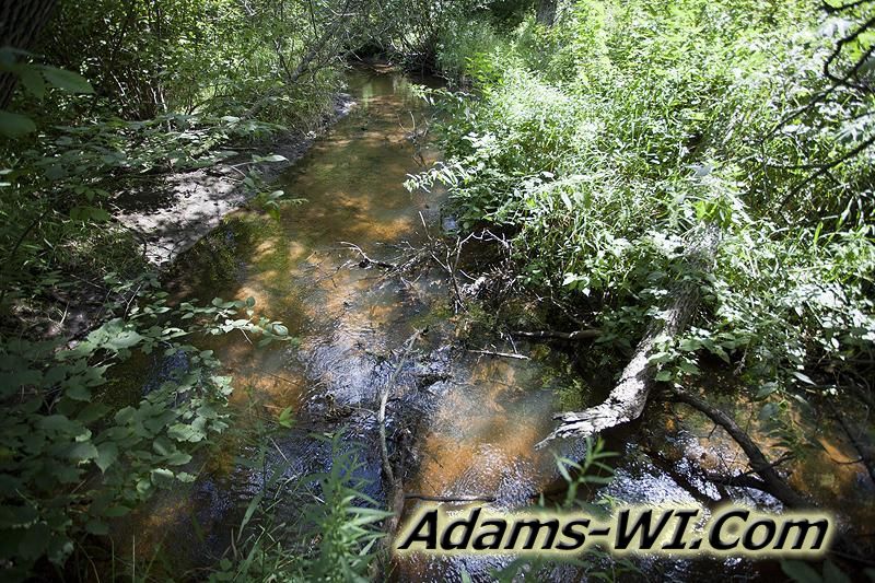 D 800X533 IMG 9347 D 800X533 IMG 9347