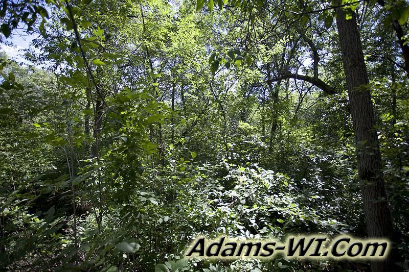 D 800X533 IMG 9349 D 800X533 IMG 9349