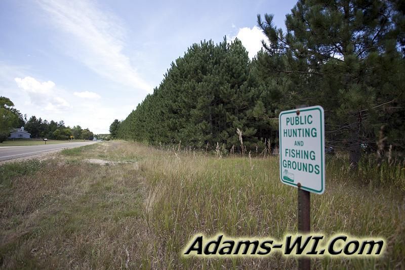 D 800X533 IMG 9352 D 800X533 IMG 9352