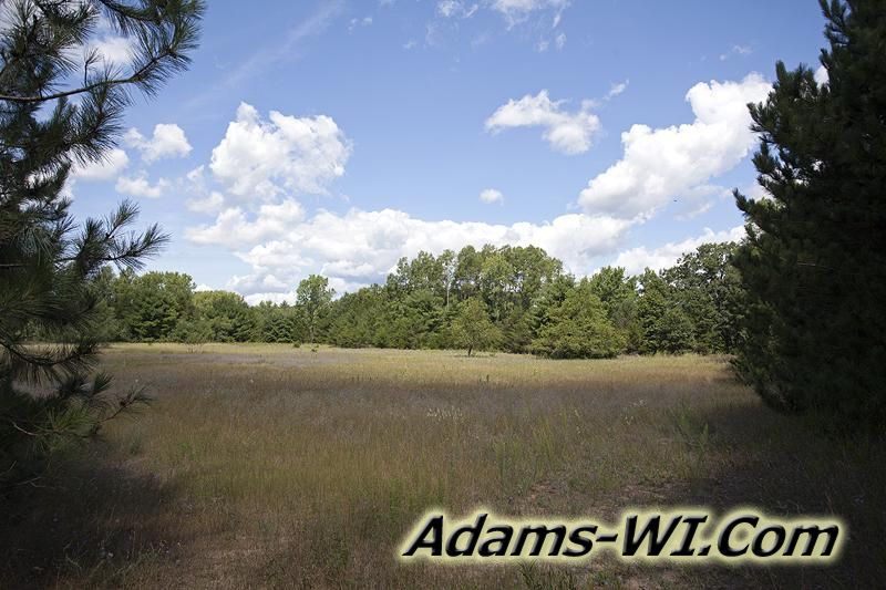 D 800X533 IMG 9353 D 800X533 IMG 9353