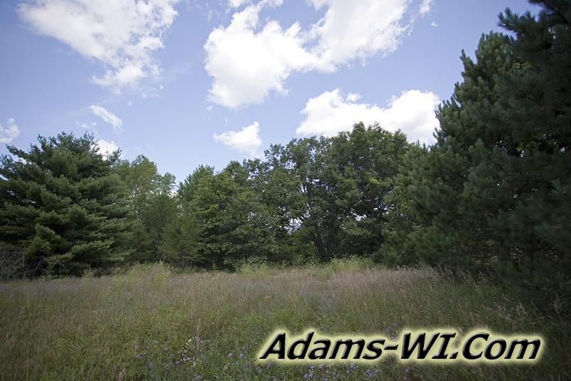 D 800X533 IMG 9355 D 800X533 IMG 9355