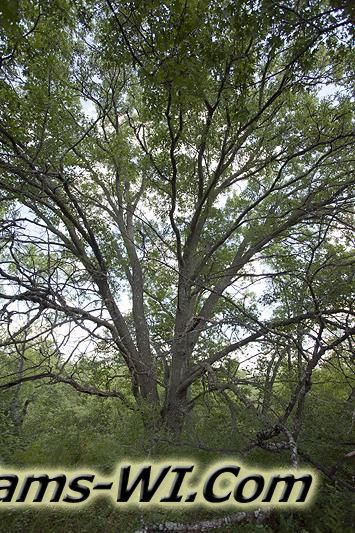 D 800X533 IMG 9356 D 800X533 IMG 9356