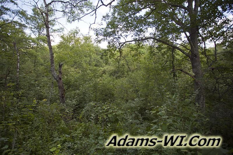 D 800X533 IMG 9357 D 800X533 IMG 9357