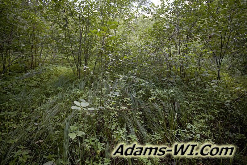 D 800X533 IMG 9358 D 800X533 IMG 9358