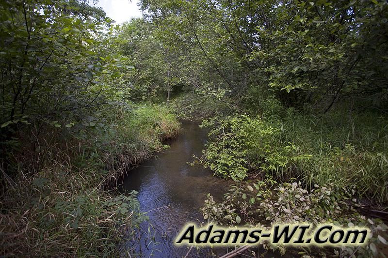 D 800X533 IMG 9359 D 800X533 IMG 9359