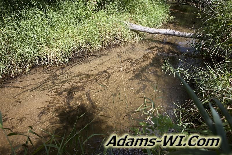 D 800X533 IMG 9362 D 800X533 IMG 9362