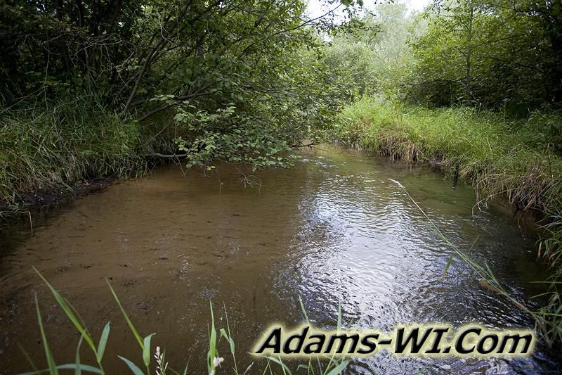 D 800X533 IMG 9363 D 800X533 IMG 9363