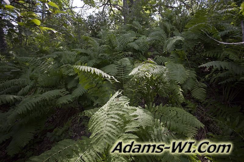 D 800X533 IMG 9364 D 800X533 IMG 9364