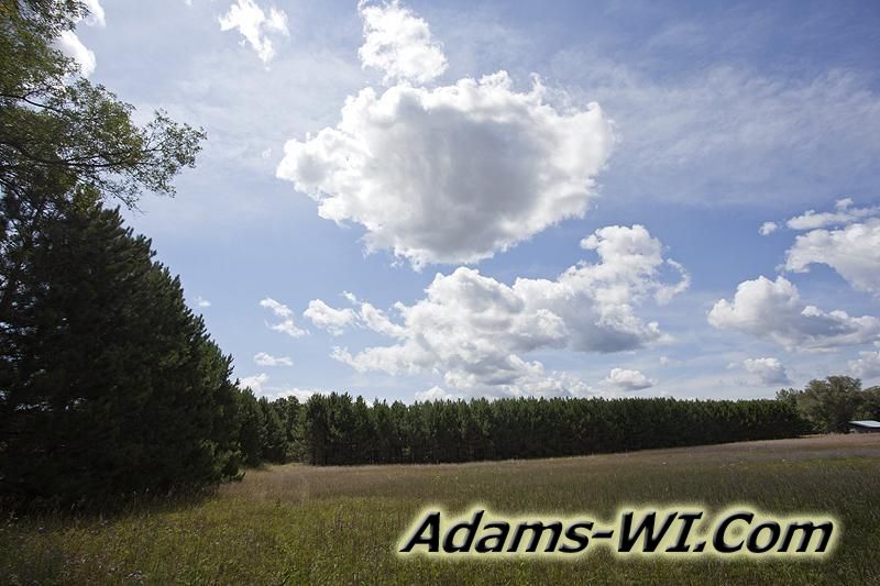 D 800X533 IMG 9365 D 800X533 IMG 9365