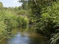 Adams County WI Class Trout Stream - Neenah Creek
