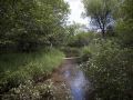 Adams County WI Trout Stream - Little Roche-A-Cri Creek