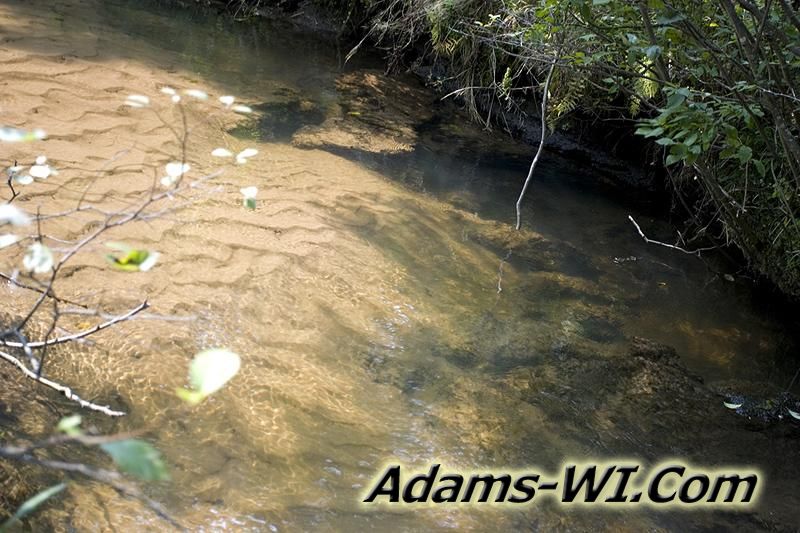 Adams County WI Trout Stream - Fordham Creek